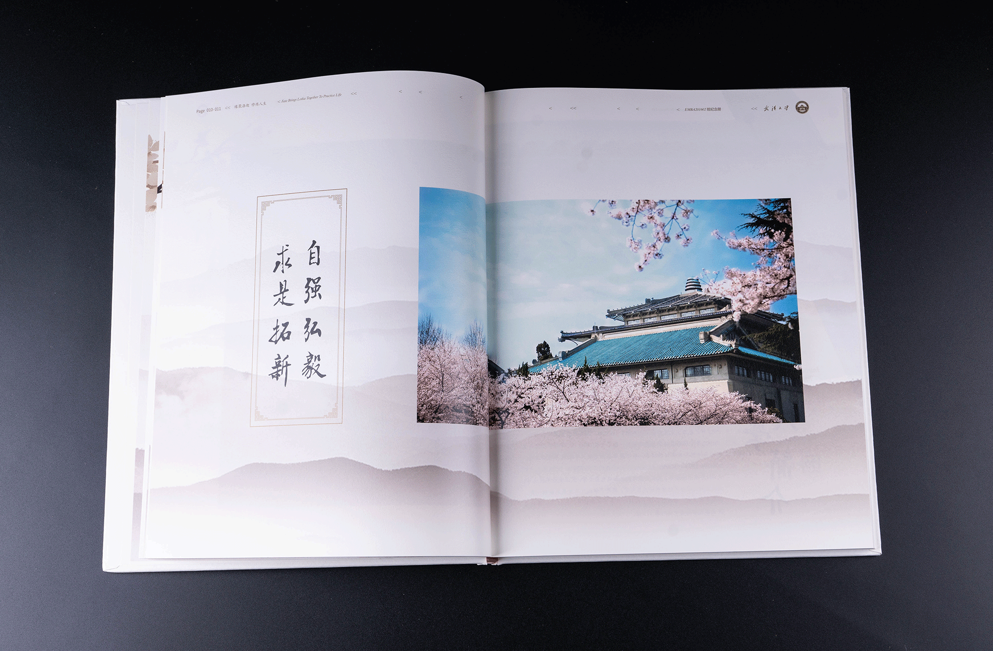 武汉大学EMBA毕业纪念册设计插图4