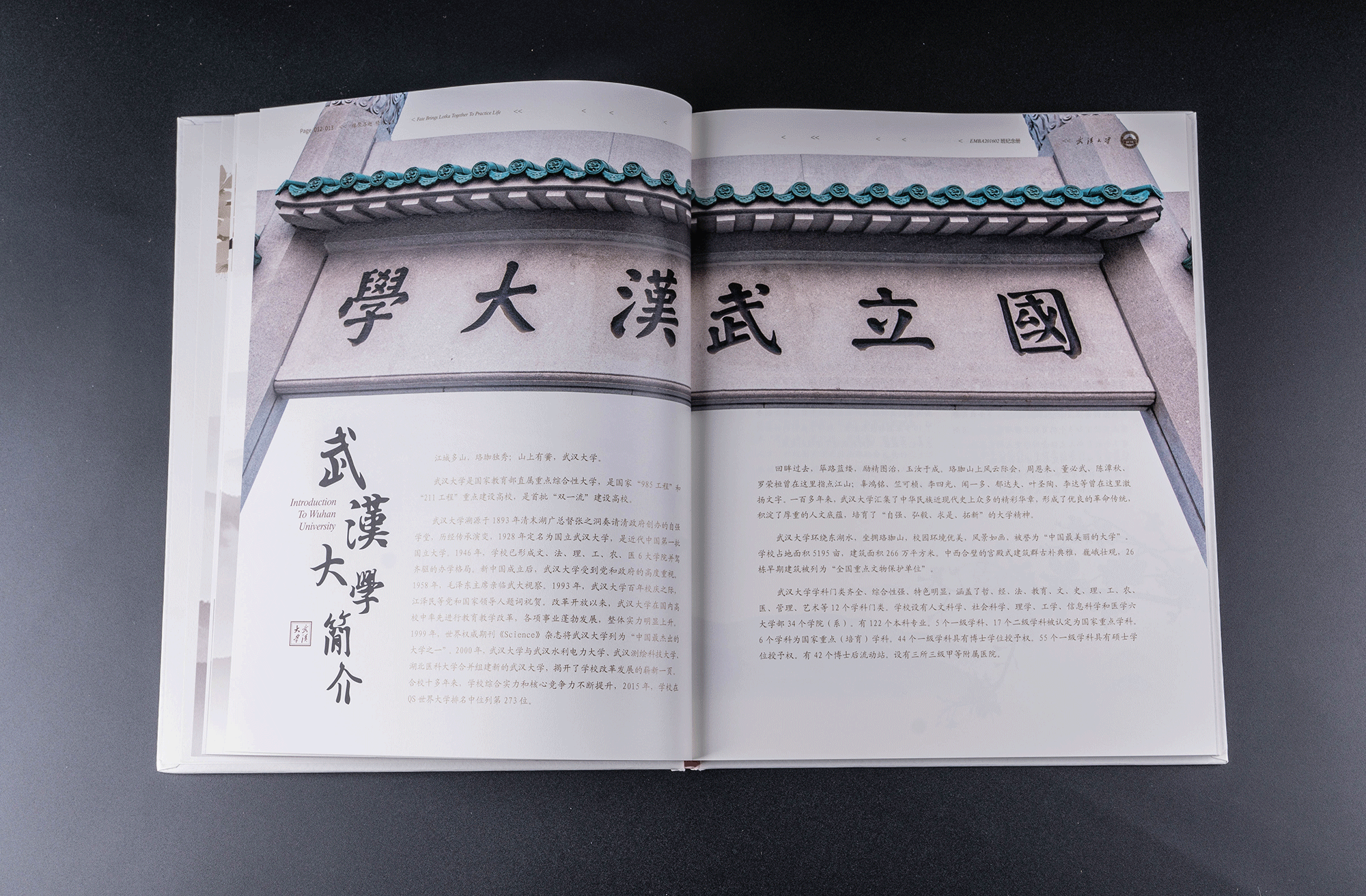 武汉大学EMBA毕业纪念册设计插图5